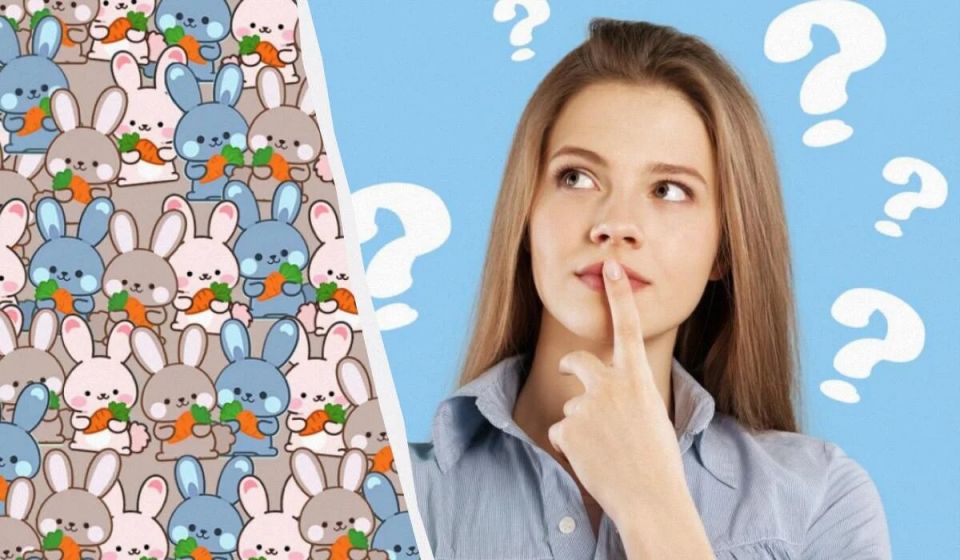 Лабиринт среди зайцев: найди кота за 7 секунд