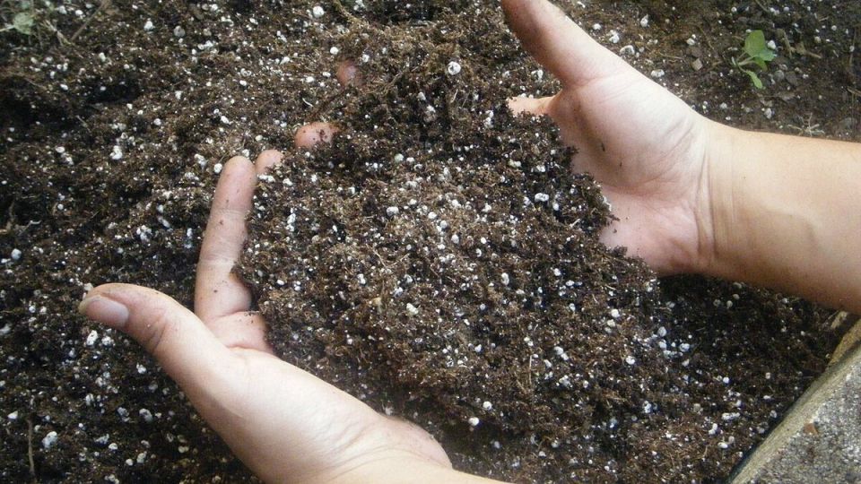 Подготовка почвы для цветника: секреты успеха