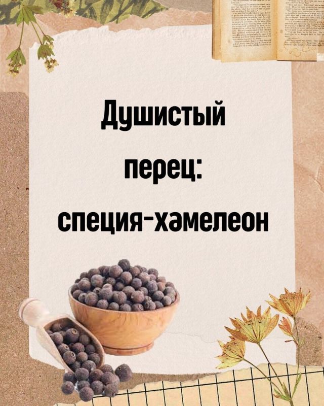 Душистый перец: Специя, способная удивить