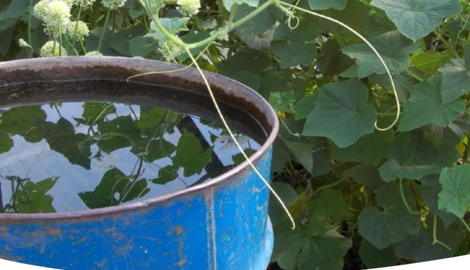 Секреты удачного смешивания удобрений