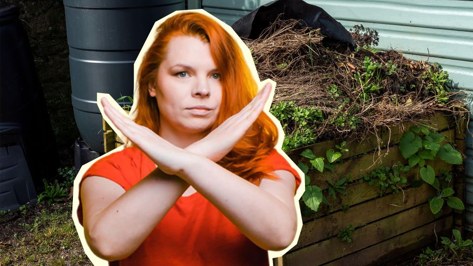 Не вздумайте избавляться от травы на участке этим способом: останетесь без урожая