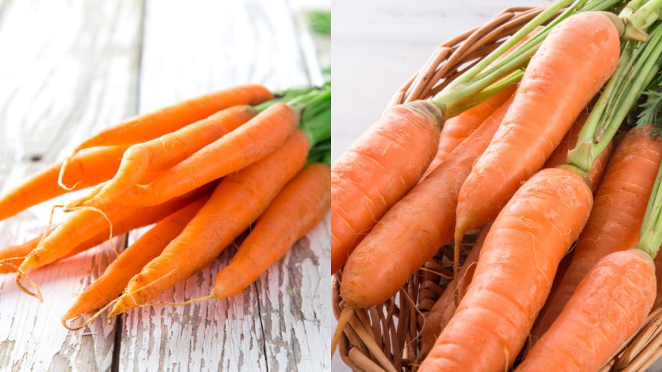 Почему октябрь — идеальное время для сбора моркови