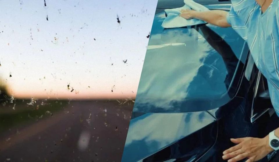Эффективные способы очистки лобового стекла от насекомых: бюджетные решения