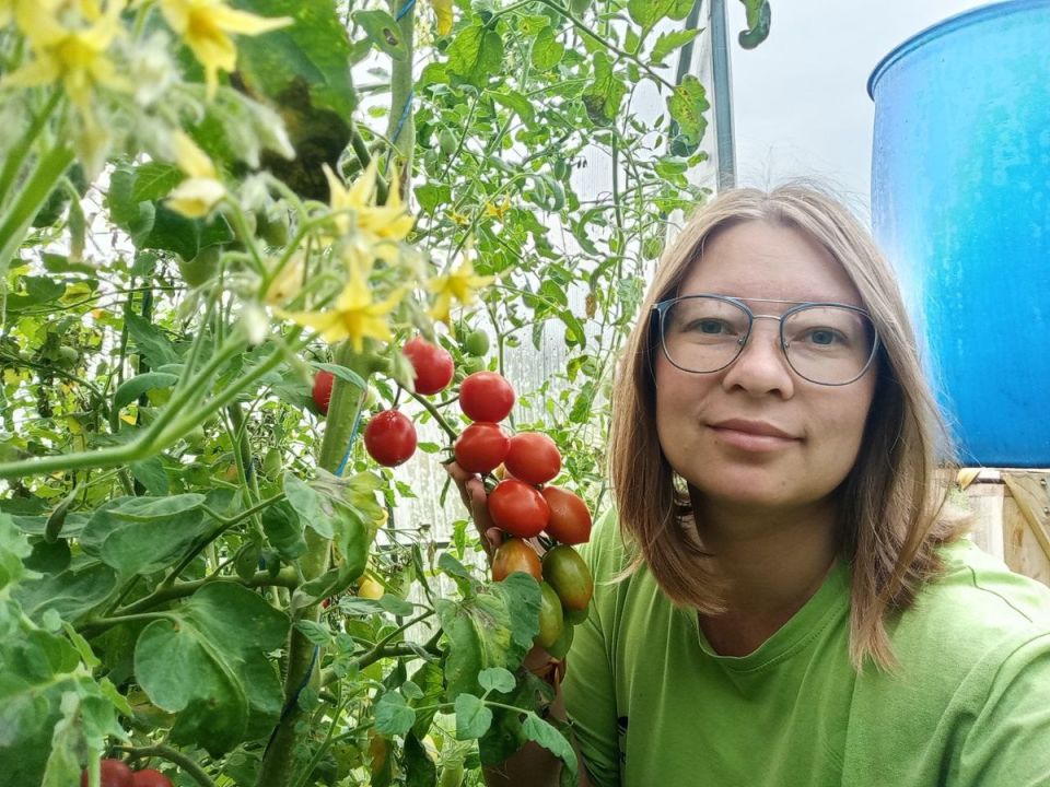 Сладкое чудо природы: успейте вырастить томаты черри Июньский усыпной F1