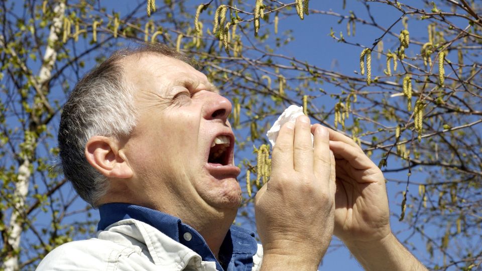 Врач назвала два эффективных способа лечения аллергии