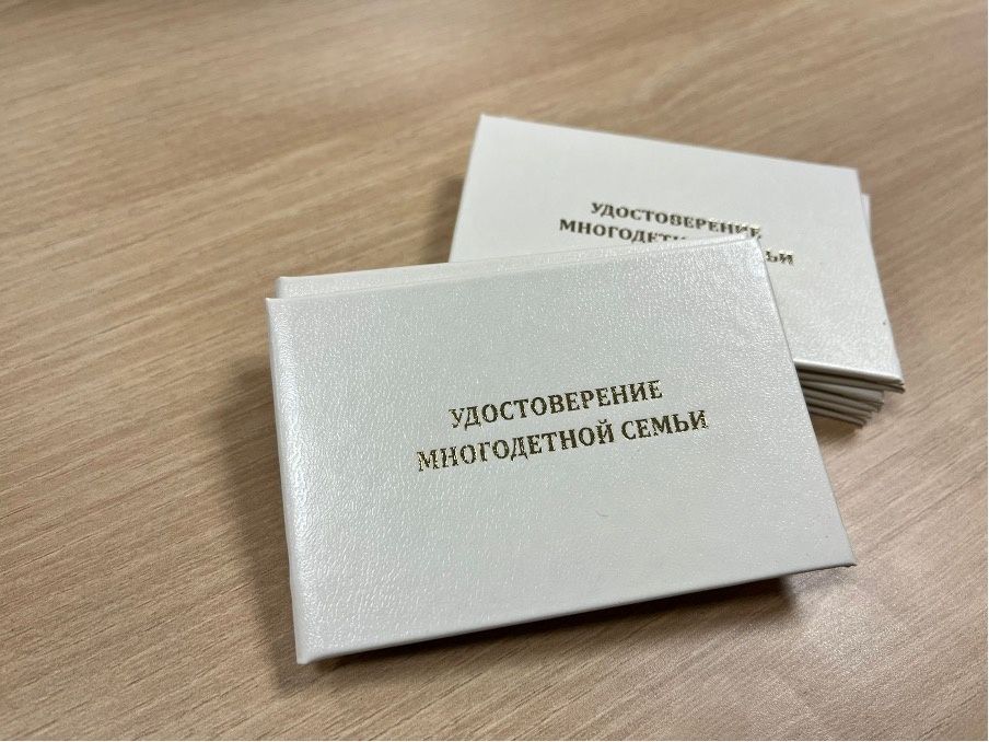 Минтруд выступил за защиту статуса многодетных семей: прописка больше не преграда