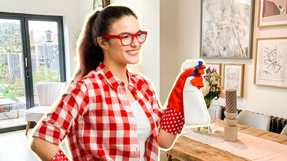 Любая вонь улетучится моментально: эксперт по уборке выдала дешевый рецепт освежителя