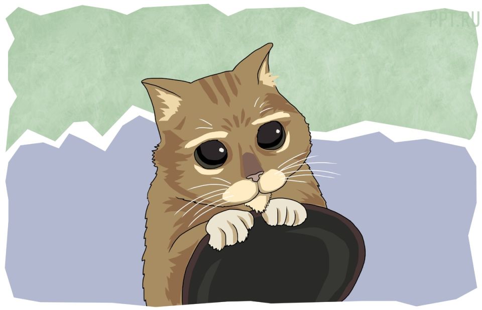 Какую пенсию могут ожидать самозанятые и ИП в 2025 году?