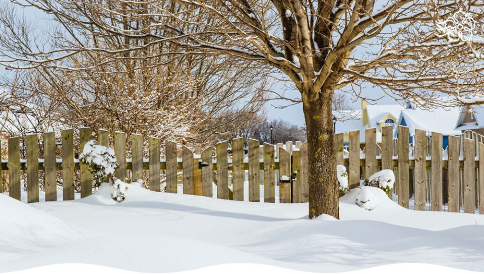 Как снег может стать вашим союзником на даче: советы по правильному использованию