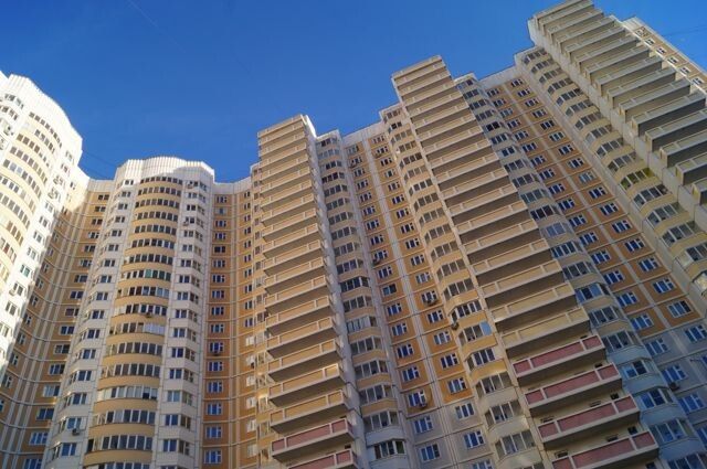 ����� ��������� ��� �������: ��� �������� ��������������� ������� �� ����� � 2025 ����