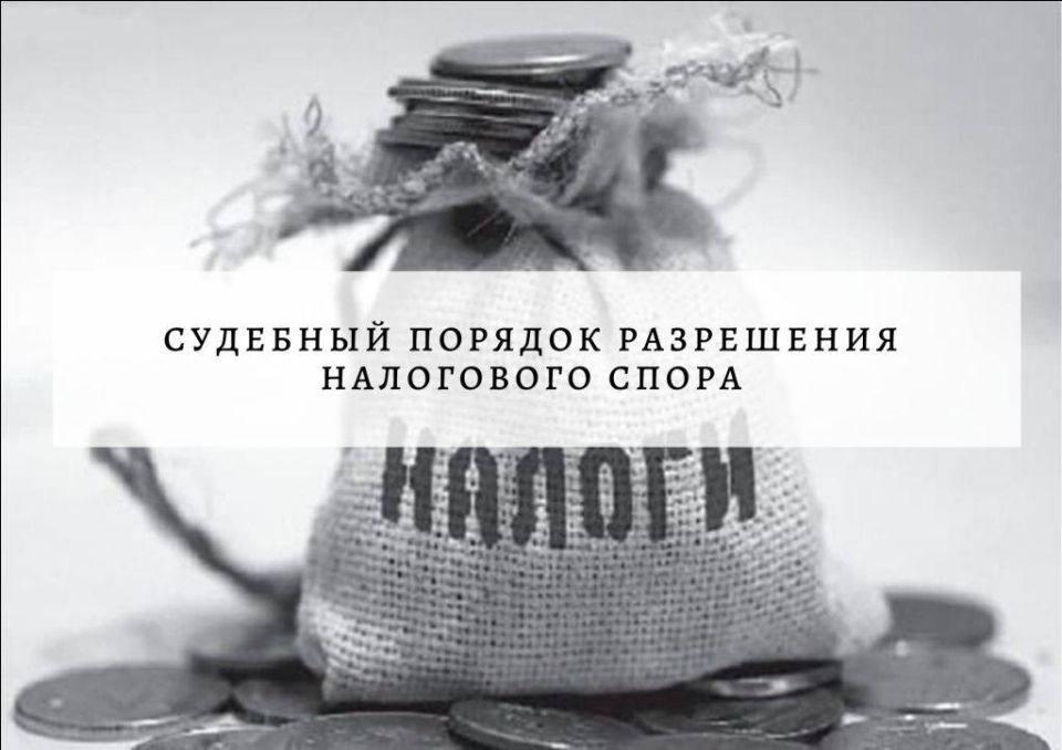 Судебные споры с налоговой: как успешно вести борьбу с задолженностью по налогам