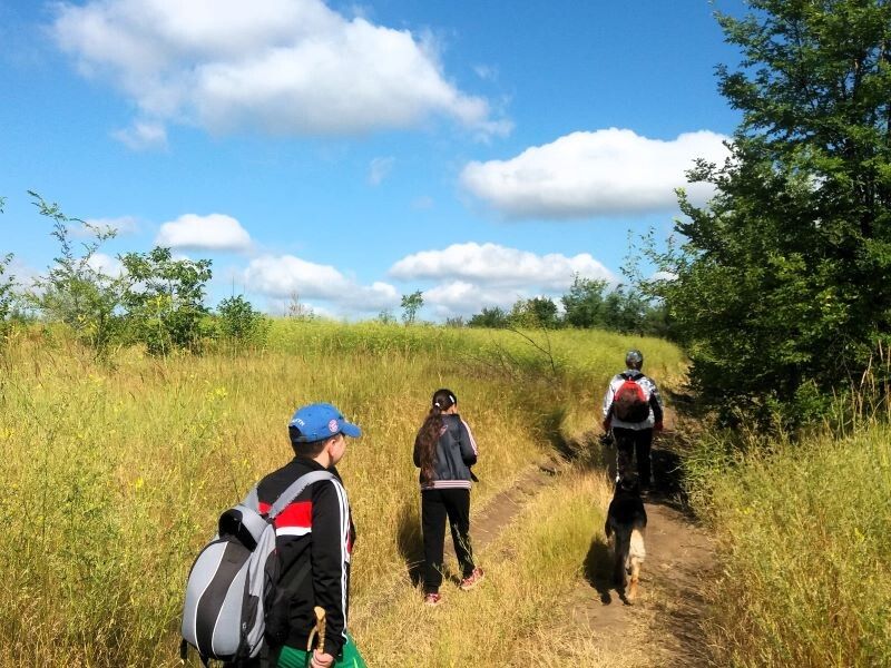 ���������� ����: ������� � ������ �� ���� ���������