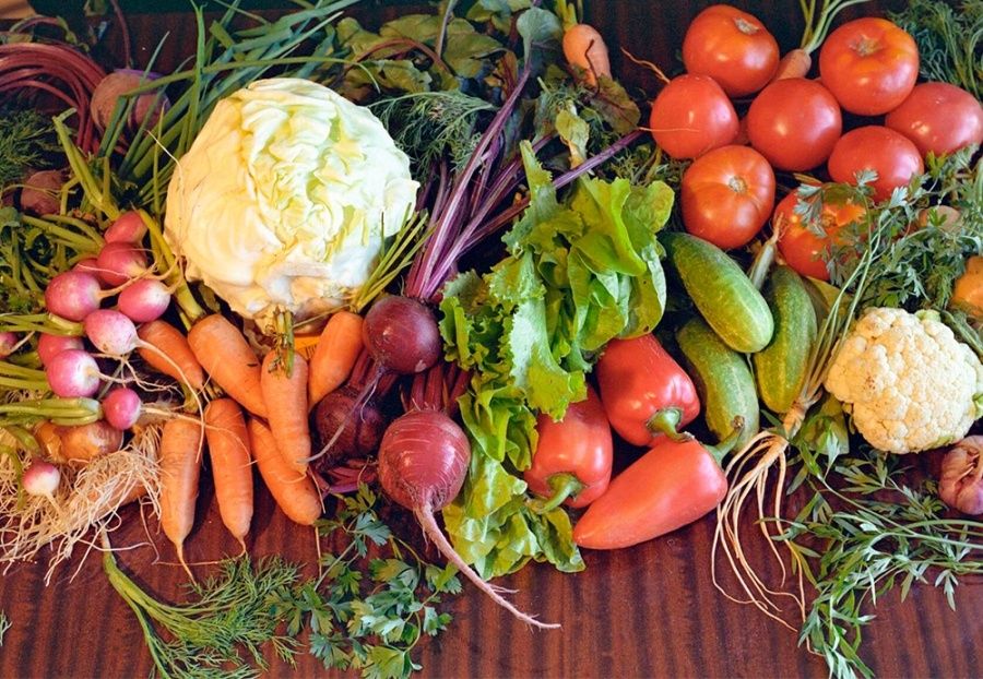 ����� ��������� ��������� � ��������: ������ ������ ������� ������