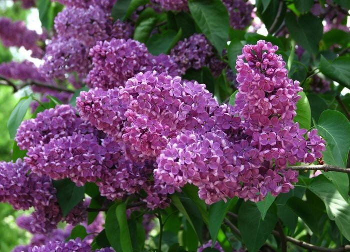 ������� ������ � ������� ��������������