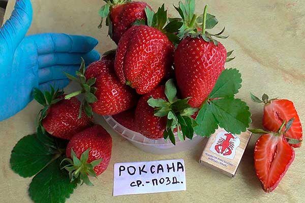 �������� �������: ��� ��������� �������� � ��������������� ������