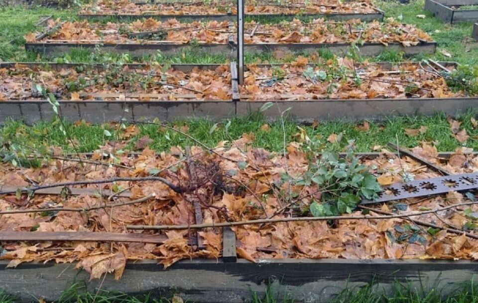 ��� ���������� ������ ������ �� ������ ������