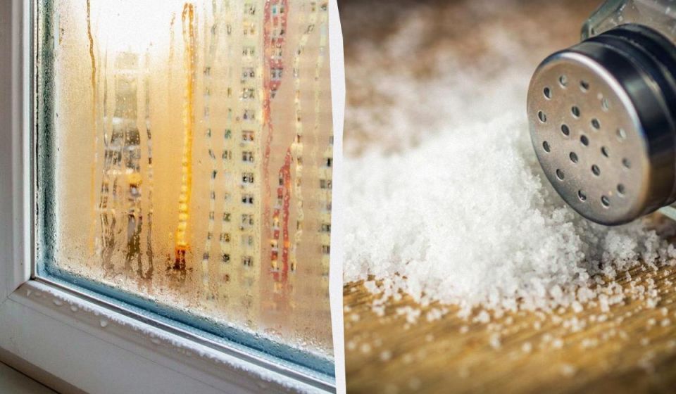 Как миски с солью могут помочь вам в борьбе с конденсатом зимой