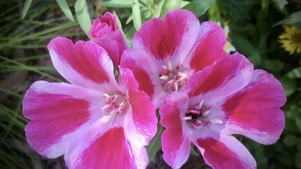 �������: ����� ���������� ������ ���� � 2026 ����