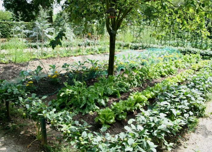 ������ ����������� �� ����������