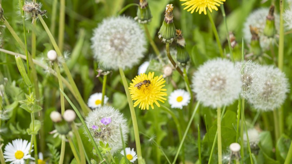 ������� ���������� � ������� ������� ������ ���: � �������� �������� �������