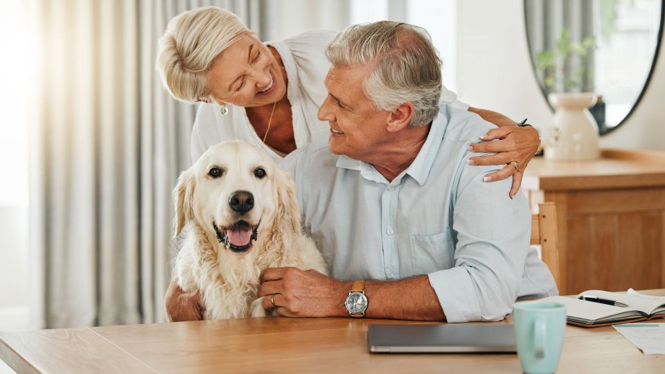 Присмотритесь к своей собаке: этот симптом укажет на серьезные проблемы