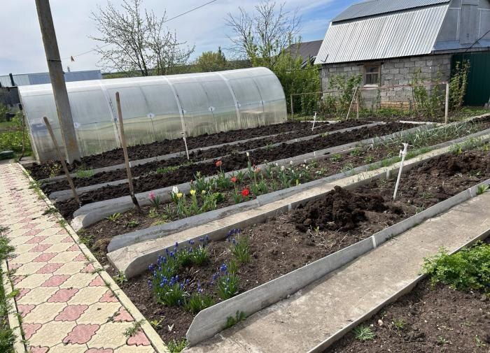 �� �������� ����: ����� �������� ����� �������� � ����� ����