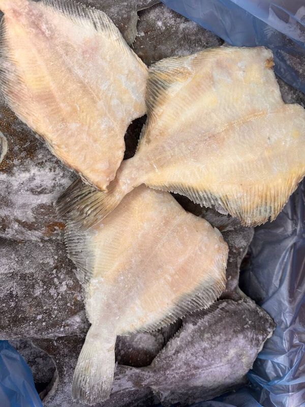 ������� ������������: �� ������ ����, � �������� ��������� ��� ��������