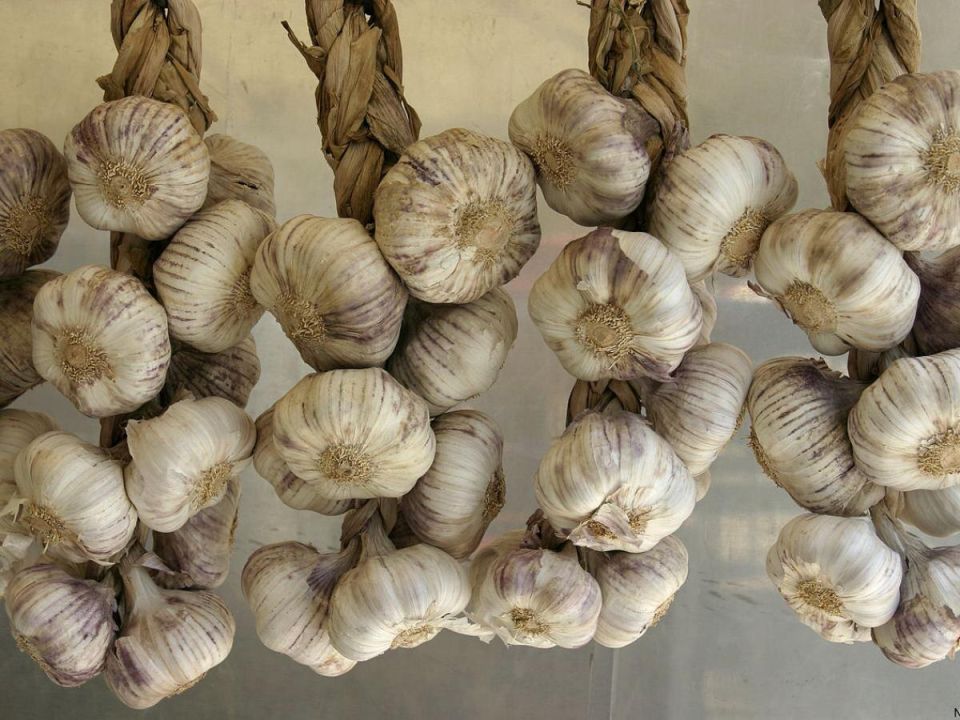 �������� ������ ������ ������: ������� ��������� ������