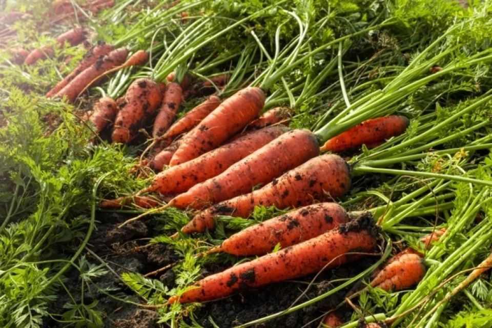 ������ ��������� ����� � ��� �� ������, � �������� ��������