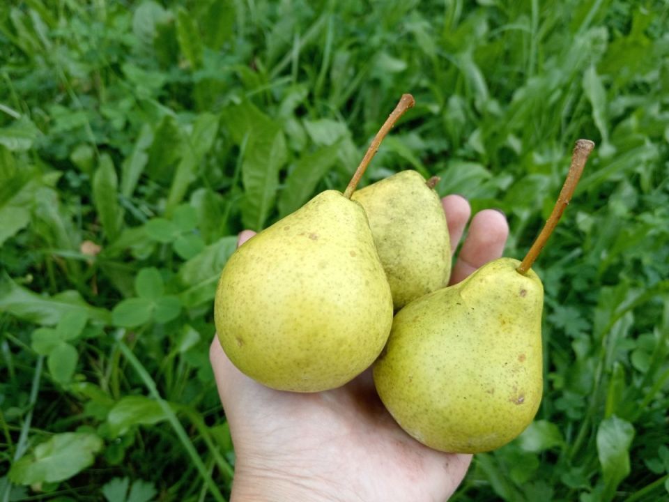 ����������� ������ ������ � ��������� �� �����