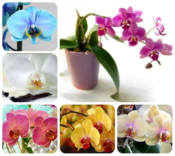 ������� ����� �� ���������: ������ ��� ����������