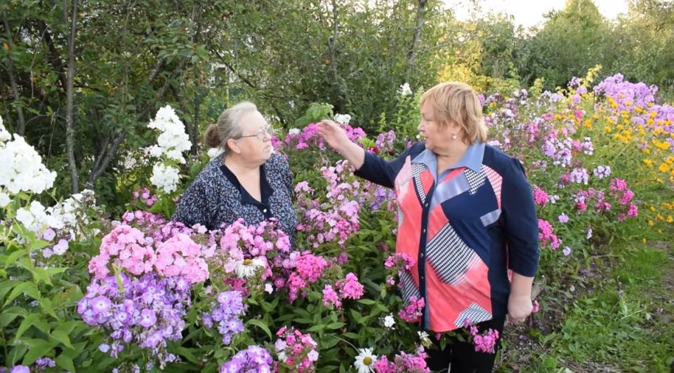 ������� ��������� �����: 6 ����������� ��������� ��� ������ ���� � 2026 ����