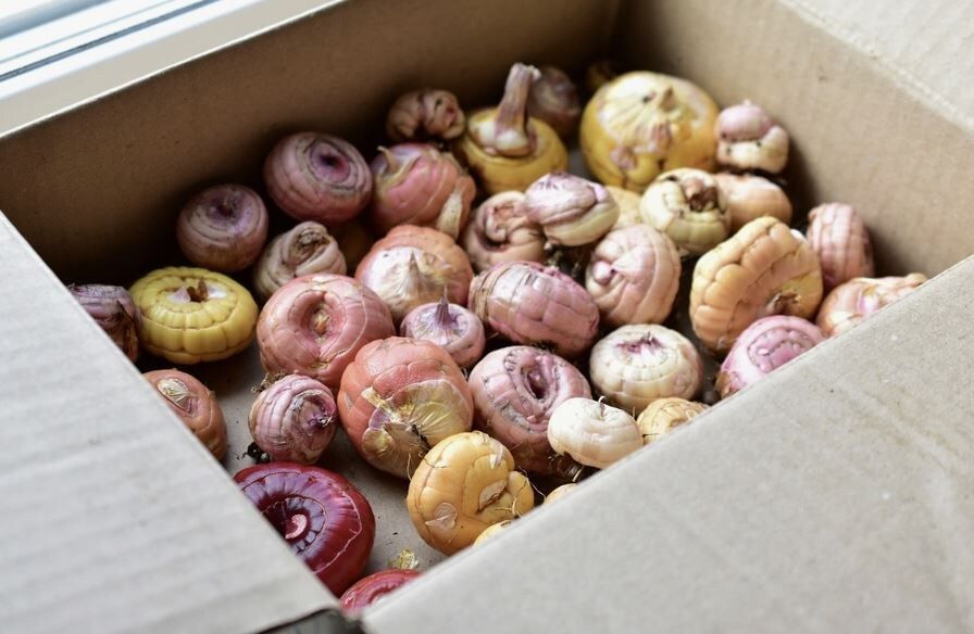 ��� ��������� ���������� �� �����: �������� ������ ��� ���������