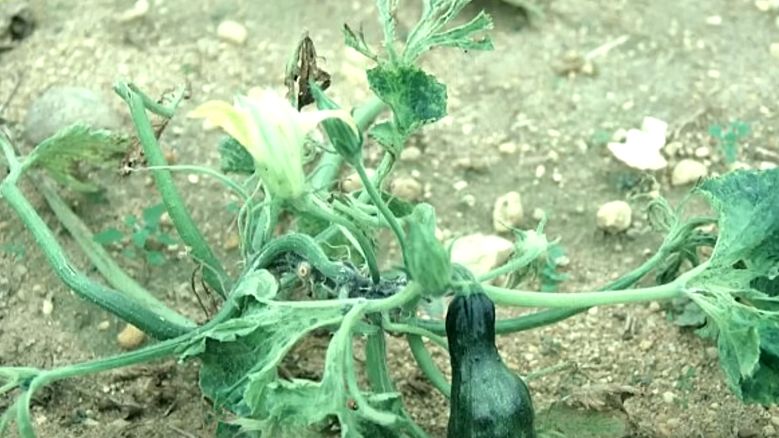 ��� ��������� ����� ������� ������� �� ������ ����