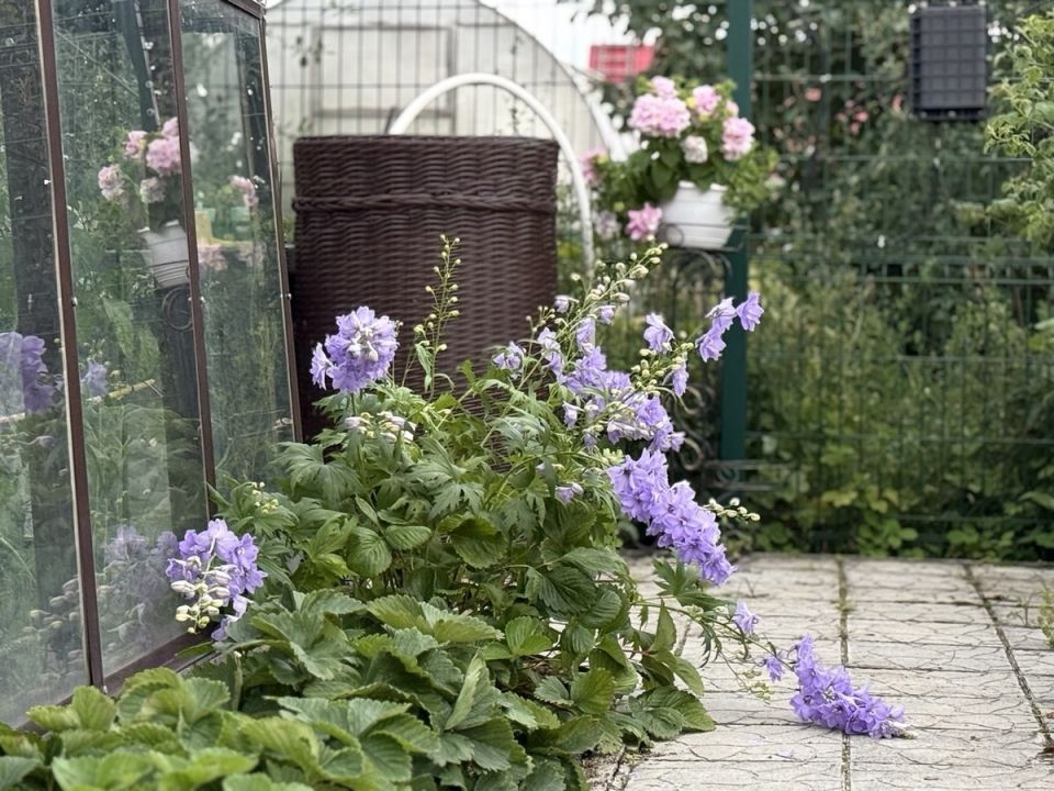 ��� ��������� ��������� ���������� �� ����� � �� �������� ������ �������