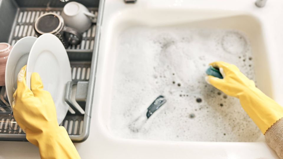 ����� ���� ������� �� �����: ������� ������ ����� ������������ ������ �� ����