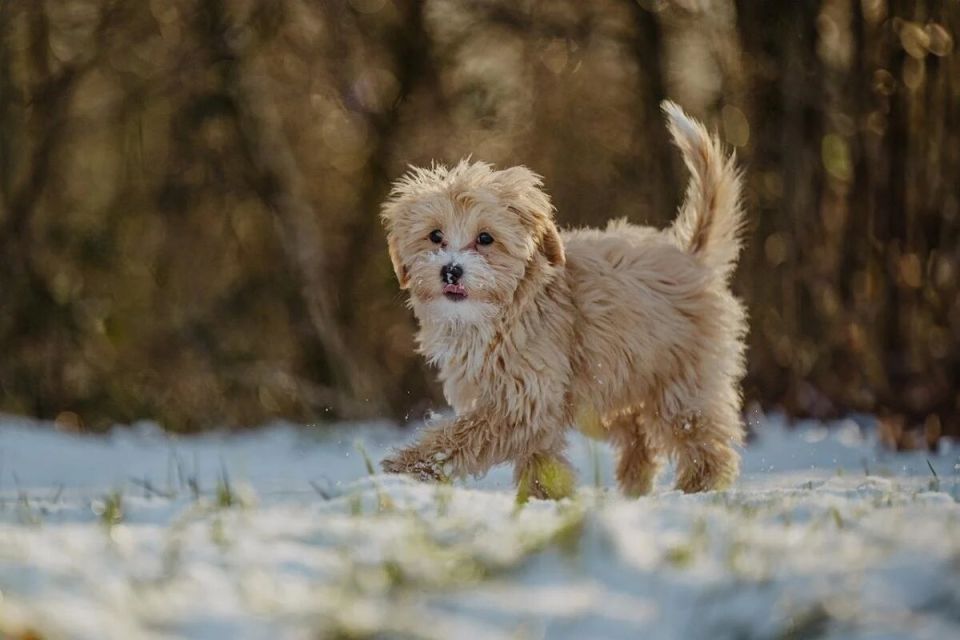 ��� ��������� ������� ������ ������� ��������: ������ �� ��������