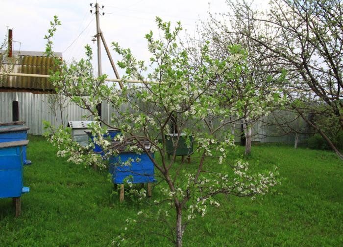 ������� �������� ��������� �������� ��� ��������� ����