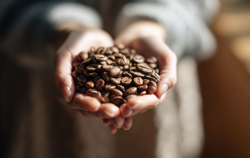 ��� ������� ��������� ����: �������, ������� � ������