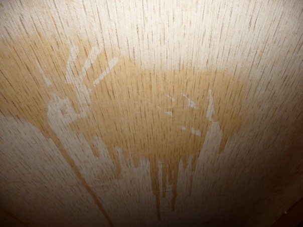 Коричневые пятна на обоях: откуда берутся и как с ними бороться