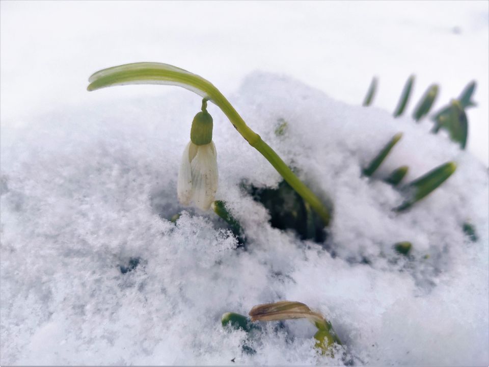 ���������� ��� ������ ����: ��� ������� ������������ ������