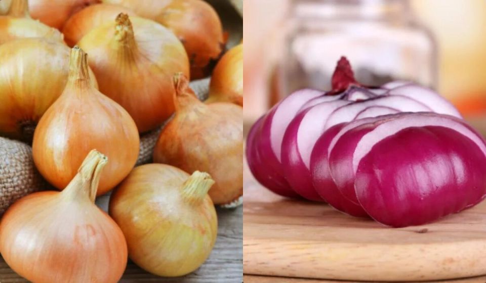 ��� ��������� �������� ����: ������ �� ��������