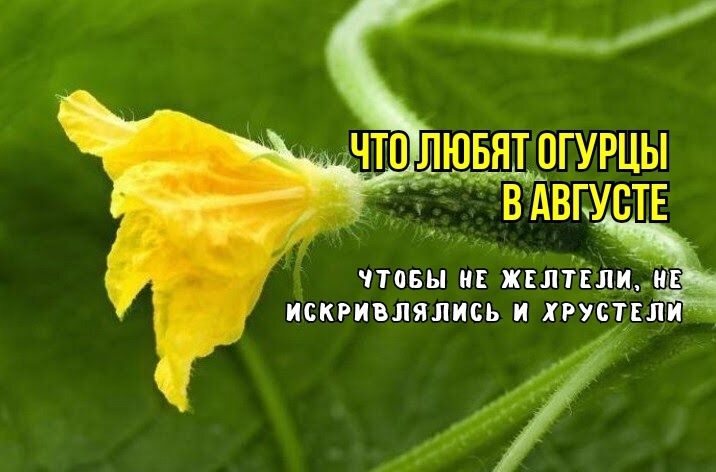 ��� ��������� ���������� ������ � ������� ��� ������ � ��������� ������