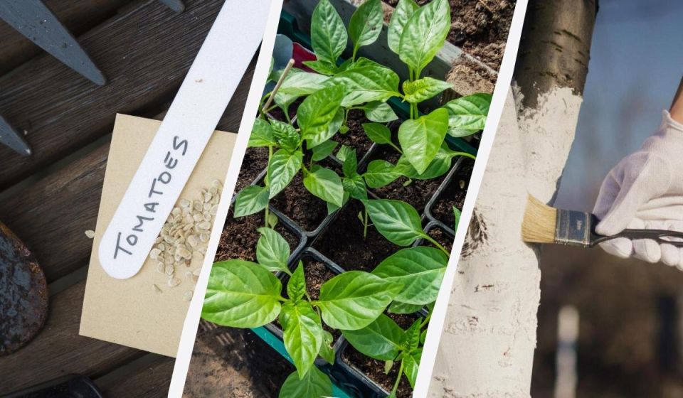 ������� �� �������: �������� ������ � ������ ��� ������