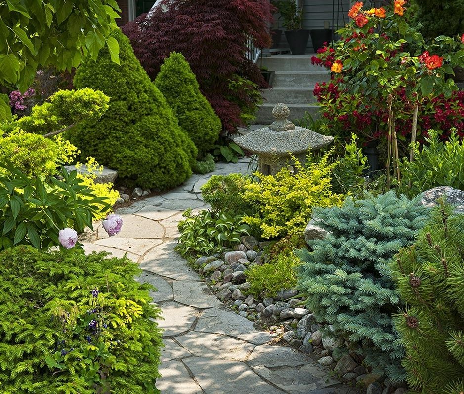 ��������� ������������ �������: �������� �������� ����������