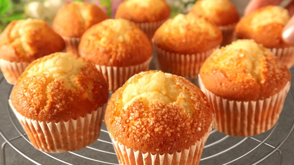 ������������� �������� �������� �������� � ����� �������� ���������