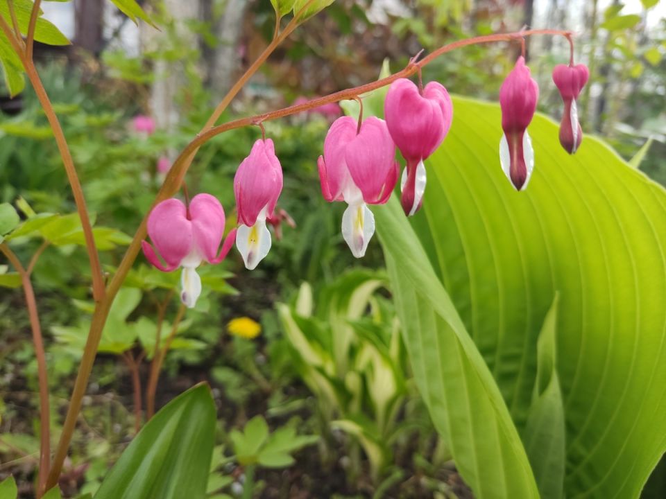 ��� ������: ��� ������� ���������� ������� ������ � ����