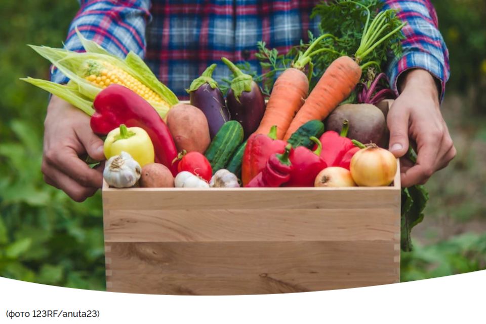 ��������� �� �������: ������� ���������� �������� ������ �����