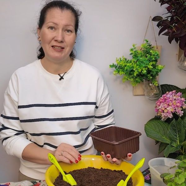 ��������� ������ ��������: ������ ��� �������� ������� � �������