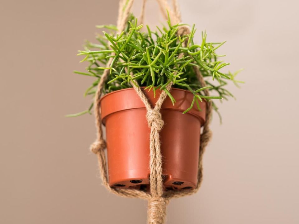 ��� ������� ����� ������� �����: ������� ��������� �����